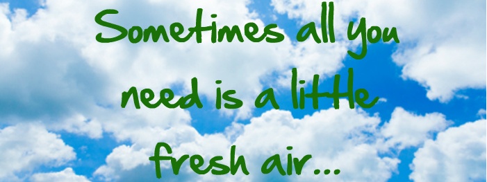 Stan_Wilson_Fresh_Air_Snoring